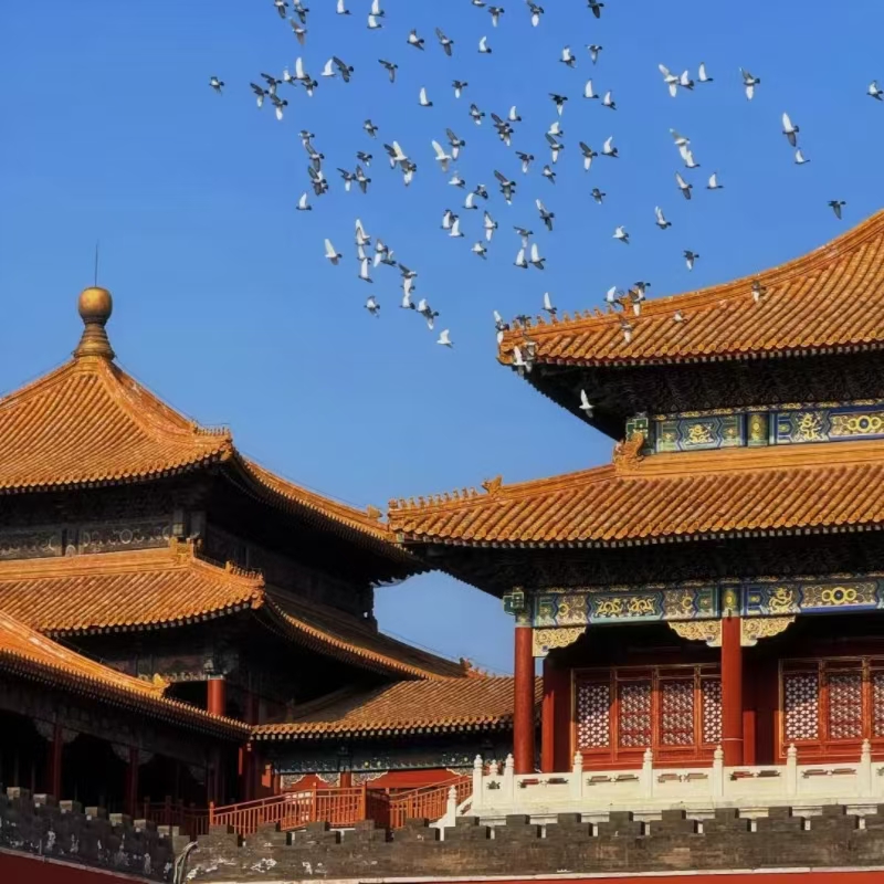 Private China Tour
